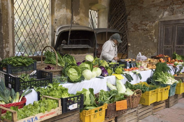 Mercato della Terra di Padernello 2026