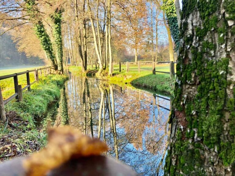 Giornate FAI d’Autunno 2026