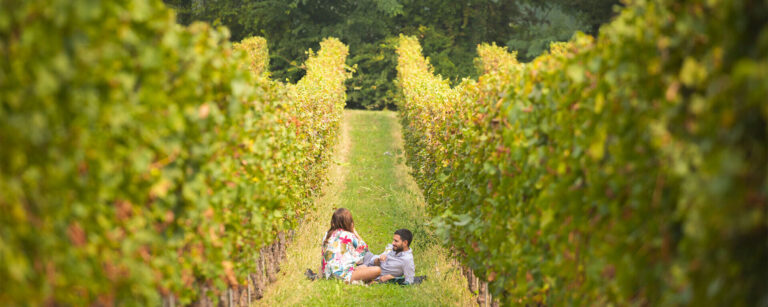 Festival Franciacorta in Cantina 2026